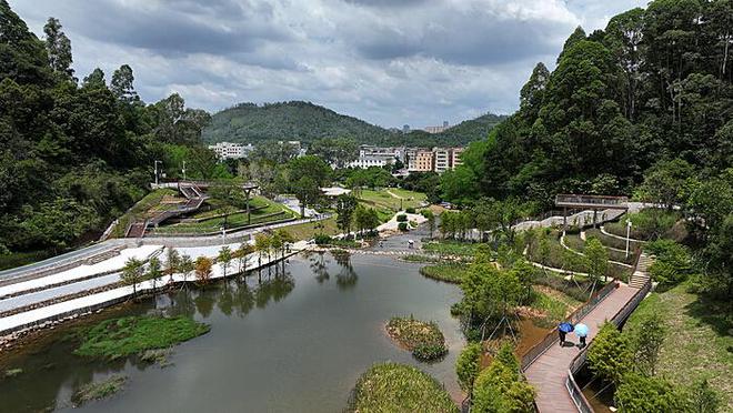 日本执政联盟遭遇重创：众议院过半席位未能获取的背景、影响及前景